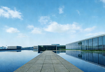 savinglights Company 2